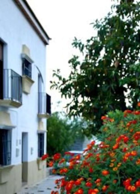 Eagles Nest - Massive Townhouse With Pool With Outstanding Views Villa Алгодоналес Екстериор снимка